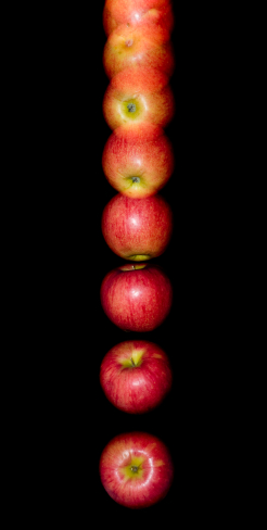 Newton’s Apple