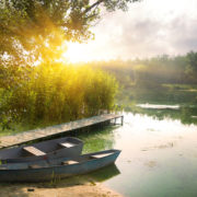 Where Go the Boats?