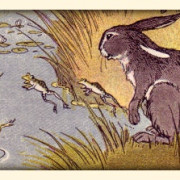 The Fearful Rabbits