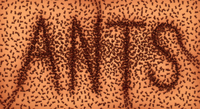 ANTs in your Brain