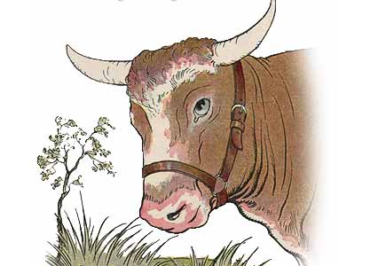 The Gnat and the Bull (Milo Winter)