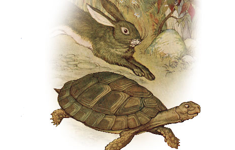 The Hare and the Tortoise (Milo Winter)