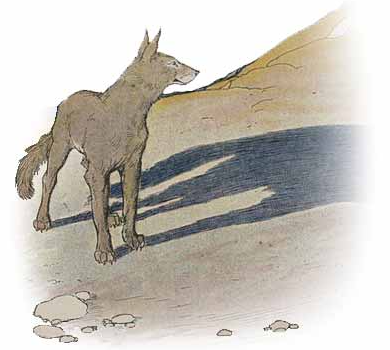 The Wolf and His Shadow (Milo Winter)