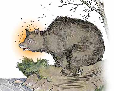 The Bear and the Bees (Milo Winter)