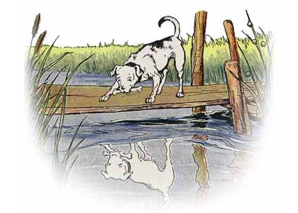 The Dog and His Reflection (Milo Winter)