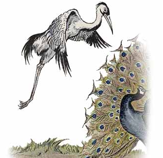The Peacock and the Crane (Milo Winter)