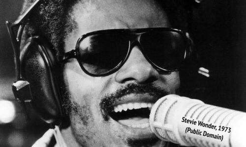 Stevie, The Musical Wonder